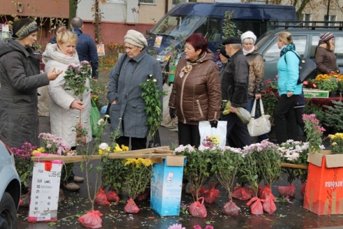 На ярмарке сбережения тратили с пользой