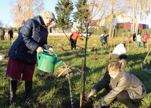 В СШ №1 г.п. Лиозно завершена высадка плодового сада