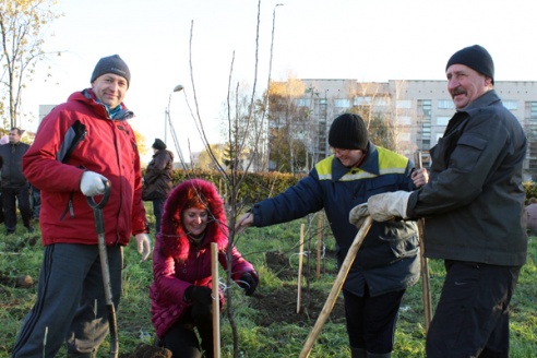 В СШ №1 г.п. Лиозно завершена высадка плодового сада