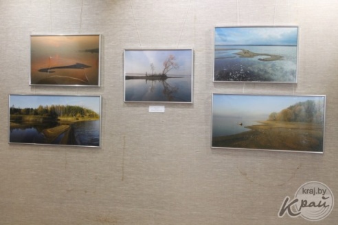 Айсберги, туман и долина пней. Чем фотографа из Минска привлекает Вилейское водохранилище?