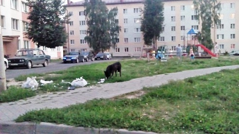 "Дойдем до облисполкома!"