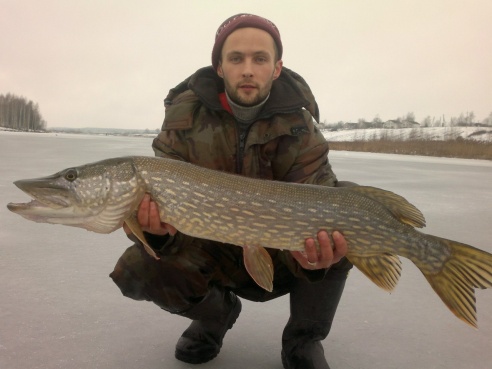 Вот такая рыба ловится в Горецком районе! ФОТО