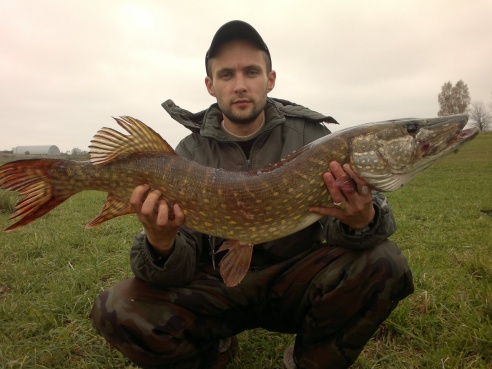 Вот такая рыба ловится в Горецком районе! ФОТО