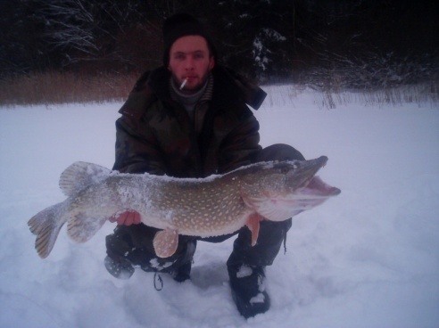 Вот такая рыба ловится в Горецком районе! ФОТО