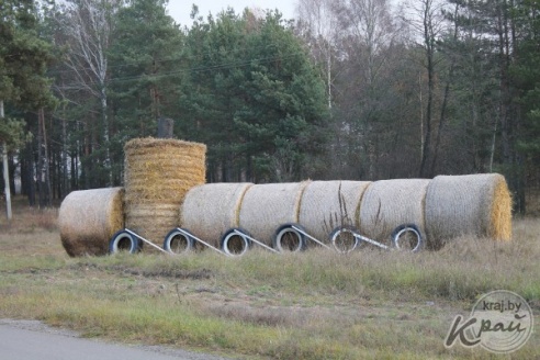 Гигантская соломенная гусеница. Перед «Дожинками» на подъездах к Вилейке установили чучела и скульптуры