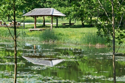 Какие есть пять причин, чтобы побывать в Вилейке (ФОТО)