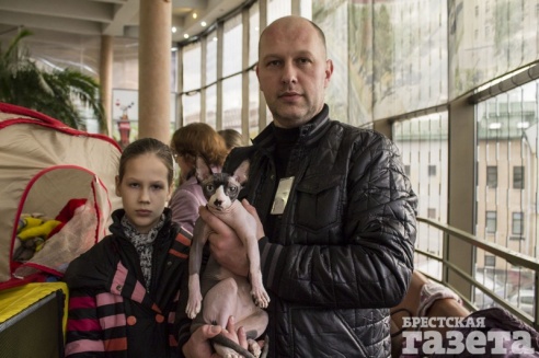 Выставка кошек в Бресте: «Я был против домашних животных! Но сфинск - это мечта»