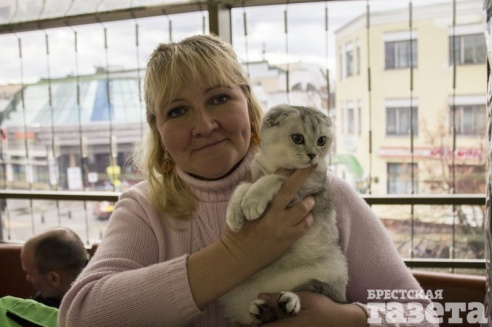 Выставка кошек в Бресте: «Я был против домашних животных! Но сфинск - это мечта»