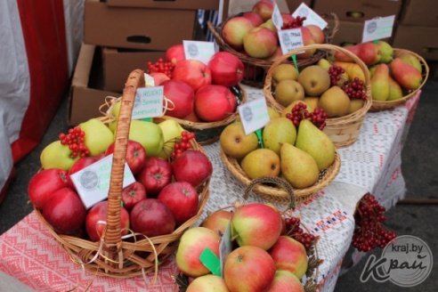 На областных «Дожинках» в Вилейке раскупали колбасу, яблоки и постельное белье (ФОТО)
