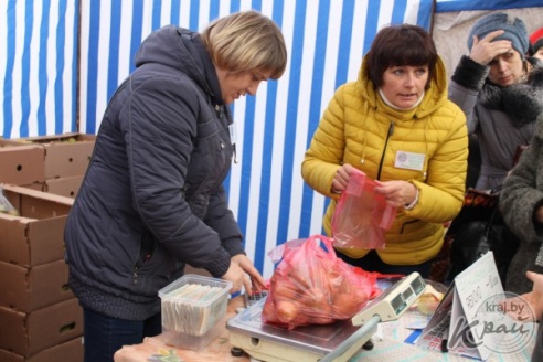 На областных «Дожинках» в Вилейке раскупали колбасу, яблоки и постельное белье (ФОТО)