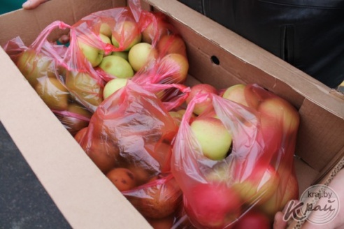 На областных «Дожинках» в Вилейке раскупали колбасу, яблоки и постельное белье (ФОТО)