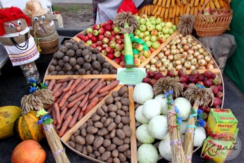 Как в Вилейке отмечали областные «Дожинки» (ФОТО)