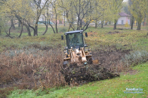 В бобруйском парке снова чистили озера