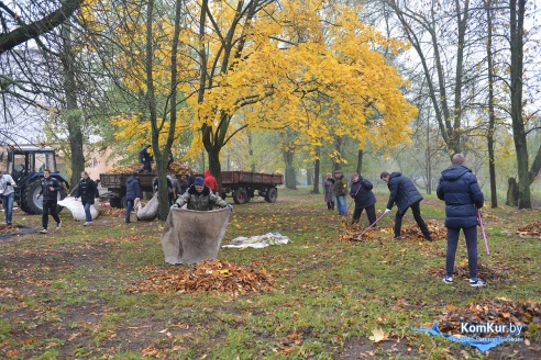 В бобруйском парке снова чистили озера