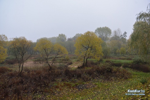 В бобруйском парке снова чистили озера