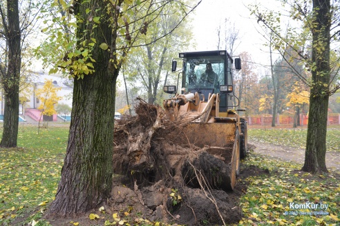В бобруйском парке снова чистили озера