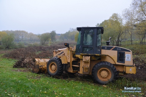 В бобруйском парке снова чистили озера