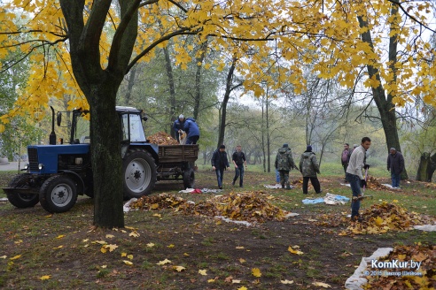 В бобруйском парке снова чистили озера