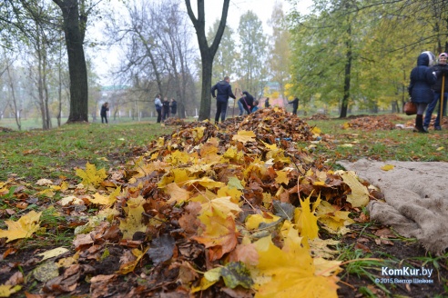 В бобруйском парке снова чистили озера