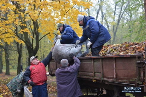 В бобруйском парке снова чистили озера