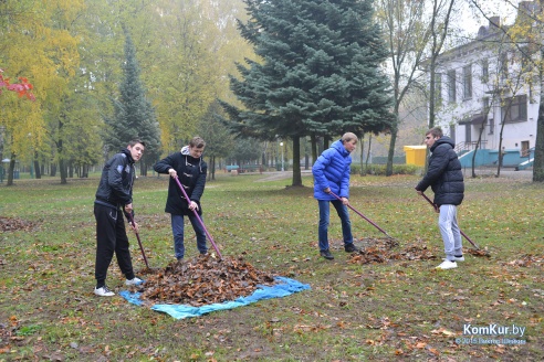 В бобруйском парке снова чистили озера