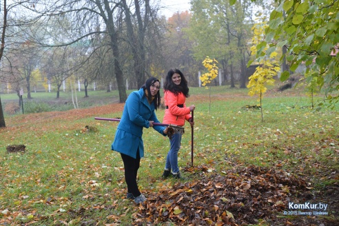 В бобруйском парке снова чистили озера