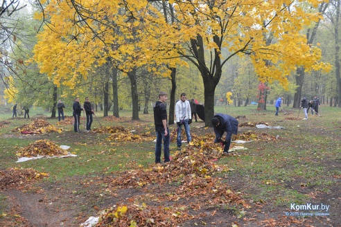 В бобруйском парке снова чистили озера