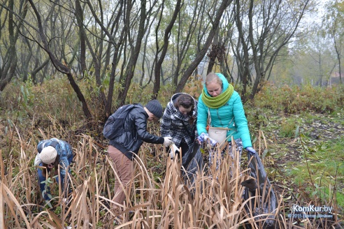 В бобруйском парке снова чистили озера