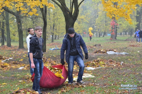 В бобруйском парке снова чистили озера