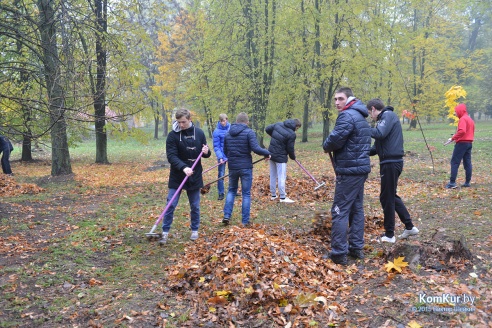 В бобруйском парке снова чистили озера