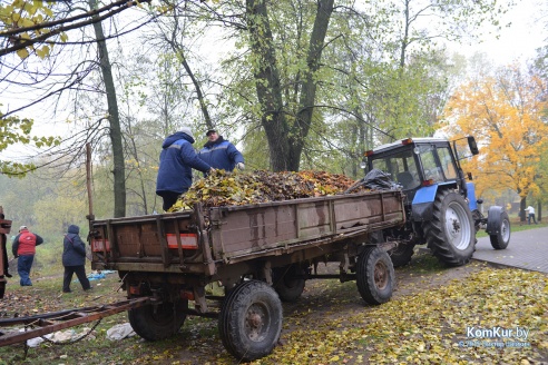 В бобруйском парке снова чистили озера