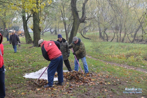 В бобруйском парке снова чистили озера
