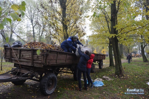 В бобруйском парке снова чистили озера