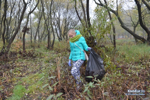 В бобруйском парке снова чистили озера
