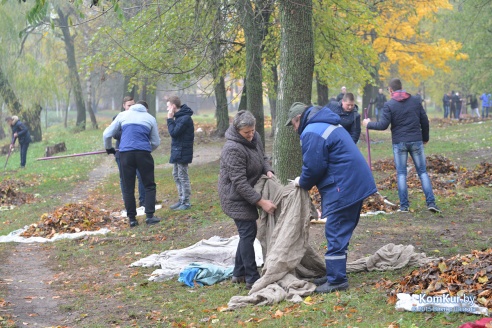 В бобруйском парке снова чистили озера