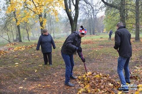 В бобруйском парке снова чистили озера