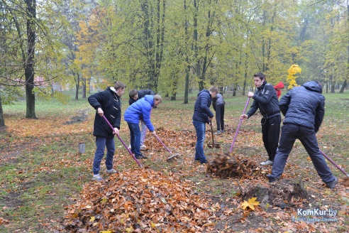 В бобруйском парке снова чистили озера