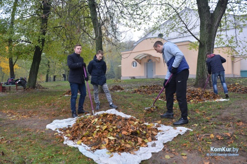 В бобруйском парке снова чистили озера