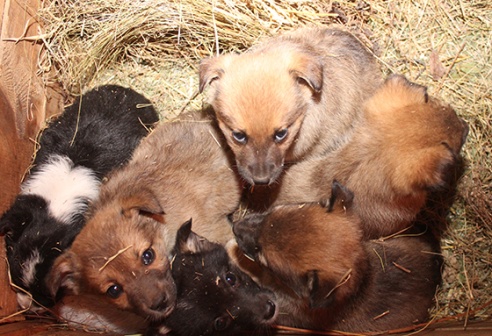 Доброты много не бывает