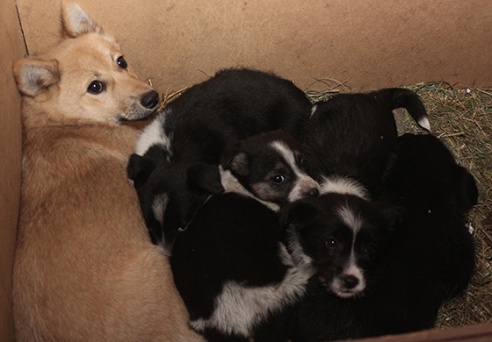 Доброты много не бывает