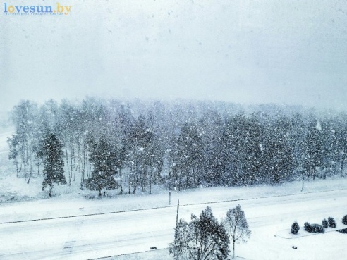 Первый светлогорский снег 2015/2016. Фотографии читателей