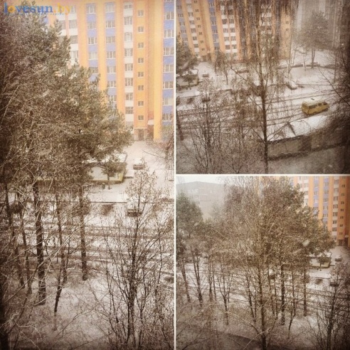 Первый светлогорский снег 2015/2016. Фотографии читателей