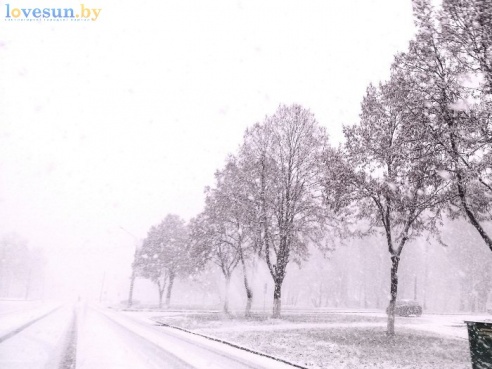 Первый светлогорский снег 2015/2016. Фотографии читателей