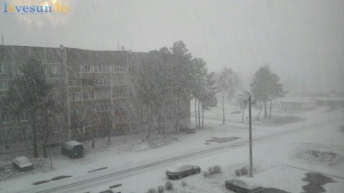 Первый светлогорский снег 2015/2016. Фотографии читателей