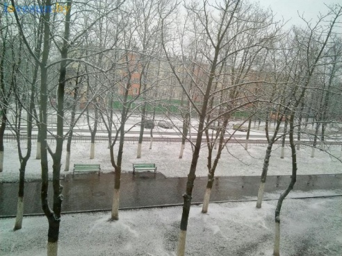 Первый светлогорский снег 2015/2016. Фотографии читателей