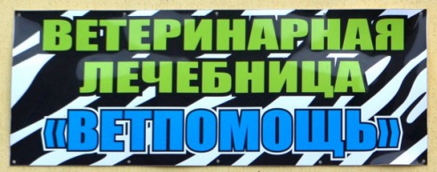 Ветеринарный врач Светлана Булкина: «Крокодилов в Молодечно не встречала, но удава лечить приходилось» (фото)