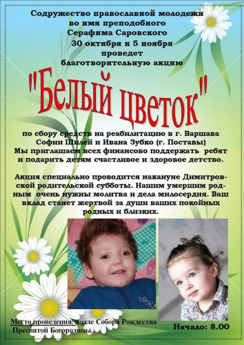 В Глубоком 30 октября и 5 ноября пройдет акция «Белый цветок» по сбору средств для реабилитации детей с ДЦП из Постав В Глубоком 30 октября и 5 ноября пройдет акция «Белый цветок» по сбору средств для реабилитации детей с ДЦП из Постав