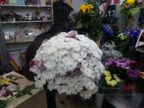 На цветы для погибшей на уборке картошки девочки молодечненцы собрали более 100 рублей