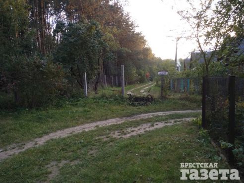Дачники из с/т «Колос-9» требуют вернуть кратчайшую дорогу для проезда к их участкам