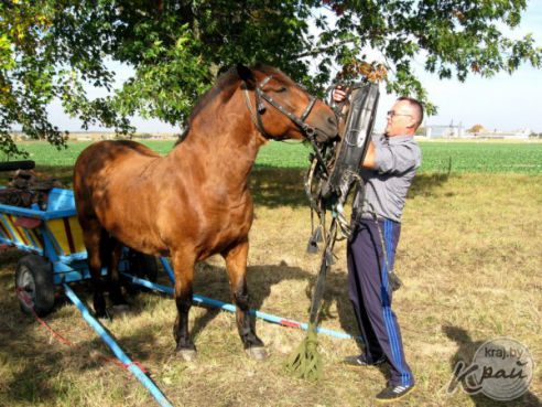 Ольга Жарская с Вилейщины об участии во «Властелине села»: Мужу трудно было пришить пуговицу, а мне поднять хомут (фото)